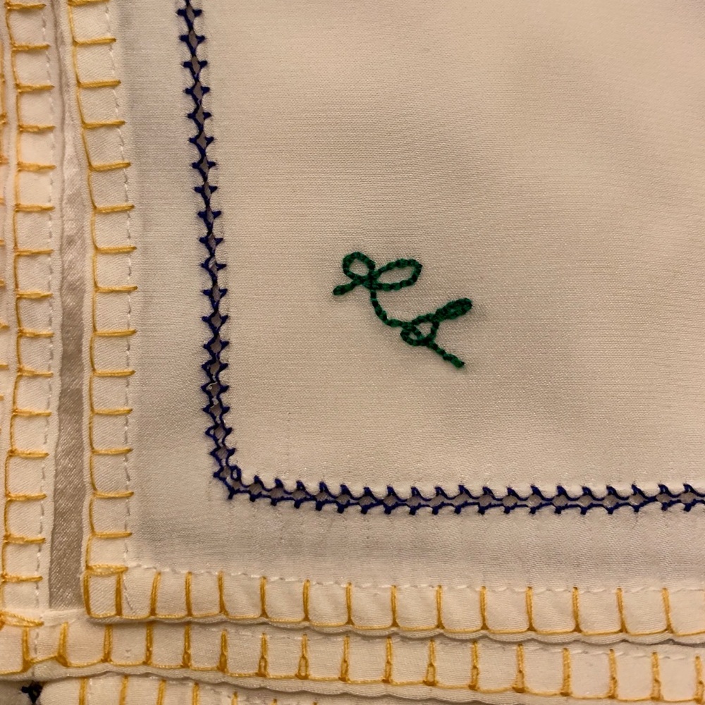 NWOT Rag & Bone Lina Embroidered Silk Scarf 🧣 - Picture 3 of 7